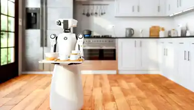 Ev İşleri Robotlara Emanet: İnsansı Robotlar Gelecek mi?